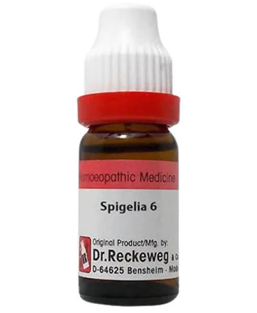 https://cdn.shopify.com/s/files/1/1857/6931/products/V6iElIdT9Q.jpg?v=1654846847
